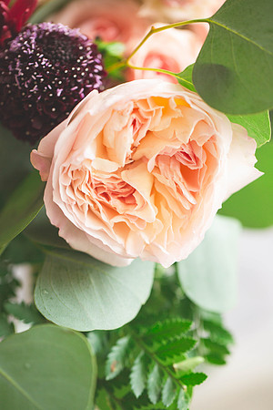 TraceyAndMatBlog-5096