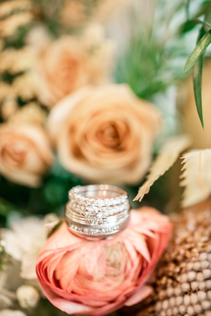 70172044_2481837425206233_5902409250918891520_n